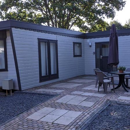 פוטן Chalet Op De Veluwe # Berk מראה חיצוני תמונה