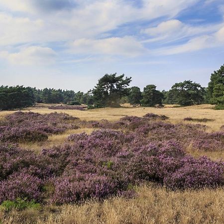 פוטן Chalet Op De Veluwe # Berk מראה חיצוני תמונה