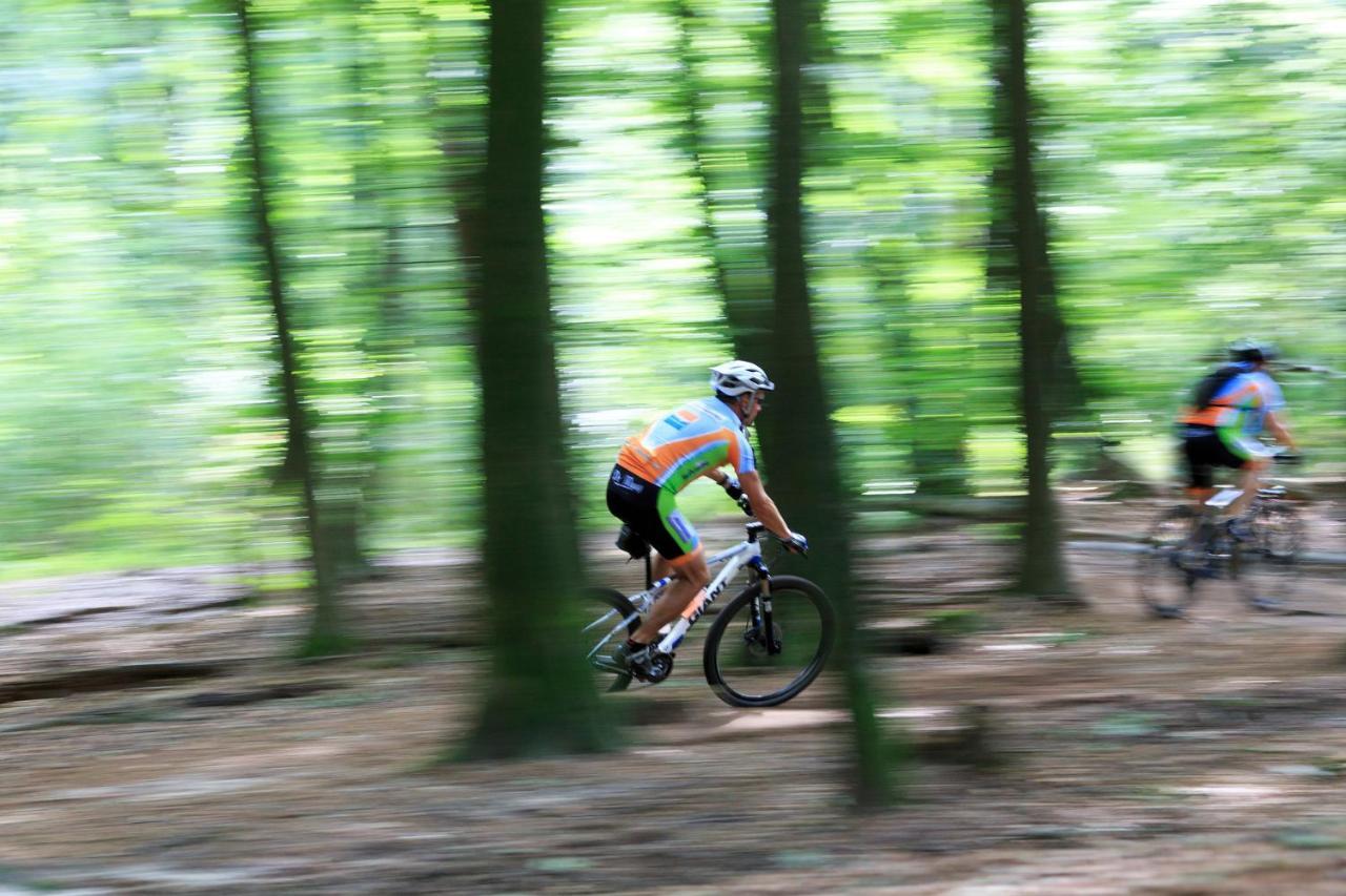 פוטן Chalet Op De Veluwe # Berk מראה חיצוני תמונה