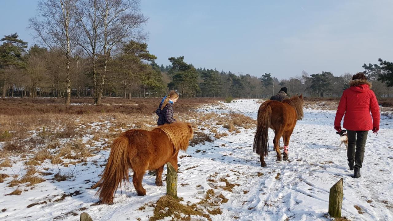 פוטן Chalet Op De Veluwe # Berk מראה חיצוני תמונה