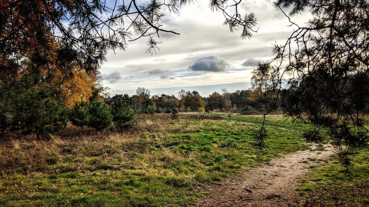 פוטן Chalet Op De Veluwe # Berk מראה חיצוני תמונה