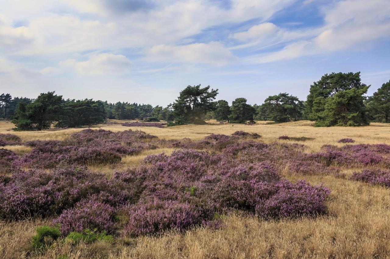 פוטן Chalet Op De Veluwe # Berk מראה חיצוני תמונה