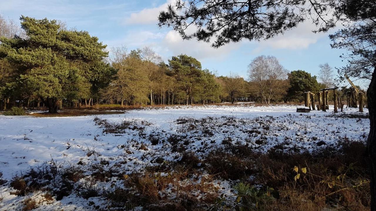 פוטן Chalet Op De Veluwe # Berk מראה חיצוני תמונה
