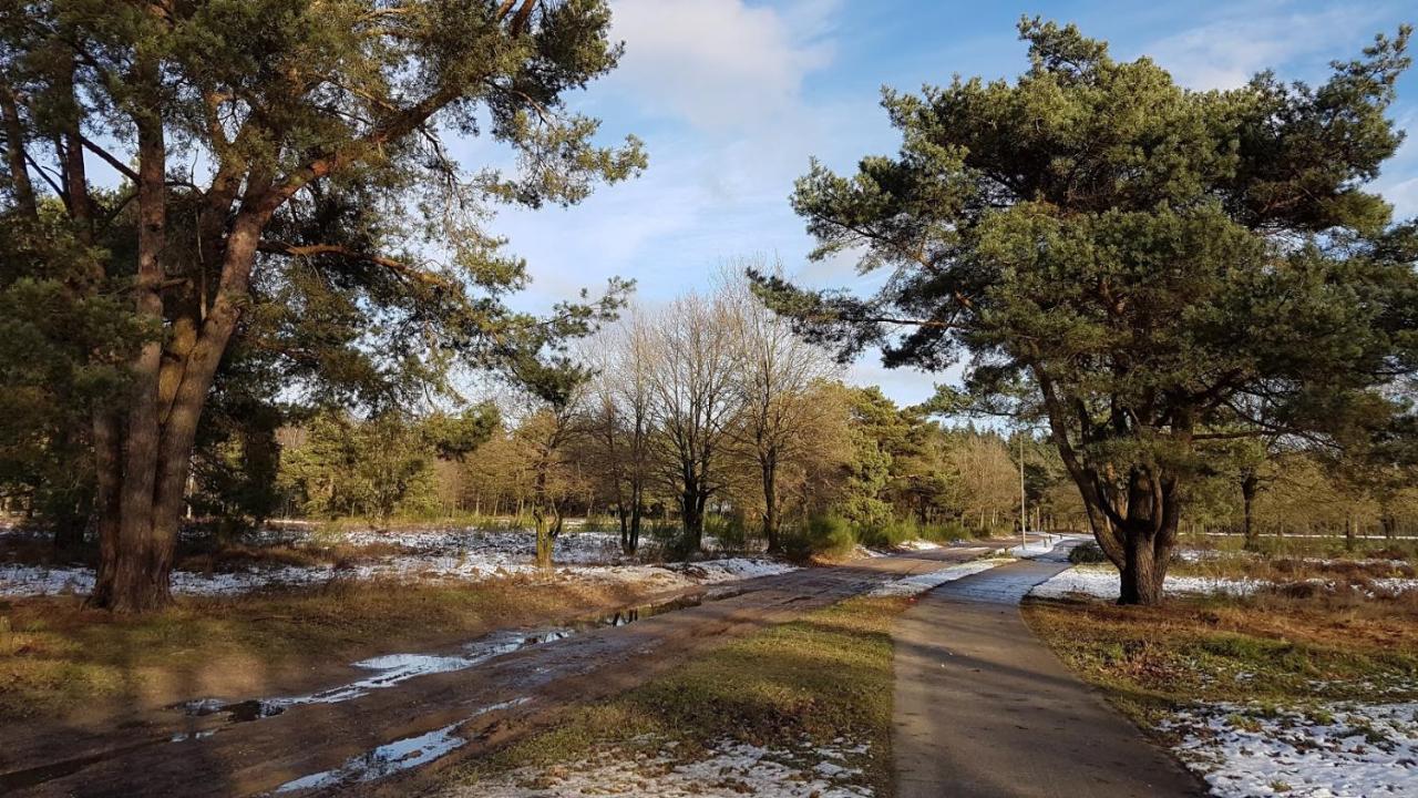 פוטן Chalet Op De Veluwe # Berk מראה חיצוני תמונה