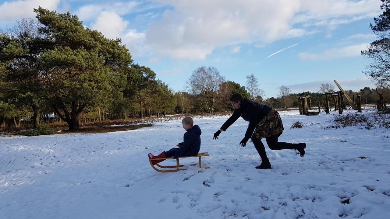 פוטן Chalet Op De Veluwe # Berk מראה חיצוני תמונה